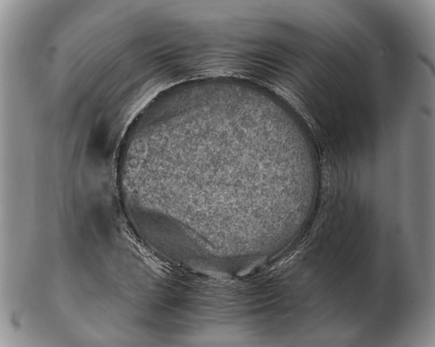 X0000103161023200809121833