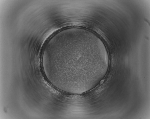 X0000103161024200809121833