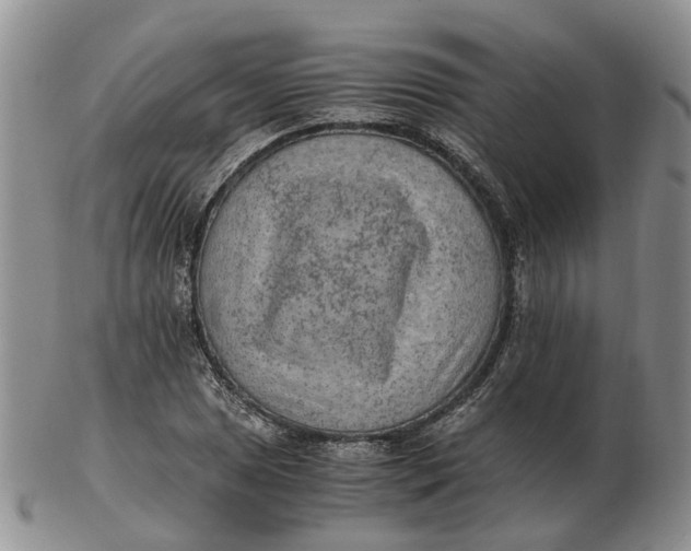 X0000103161025200809121833