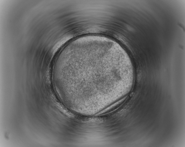 X0000103161026200809121833