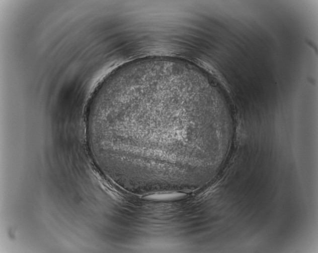 X0000103161027200809121833