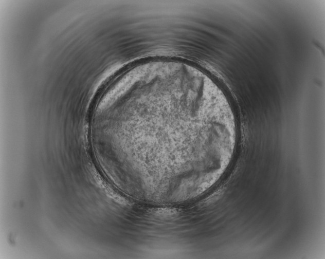 X0000103161029200809121833