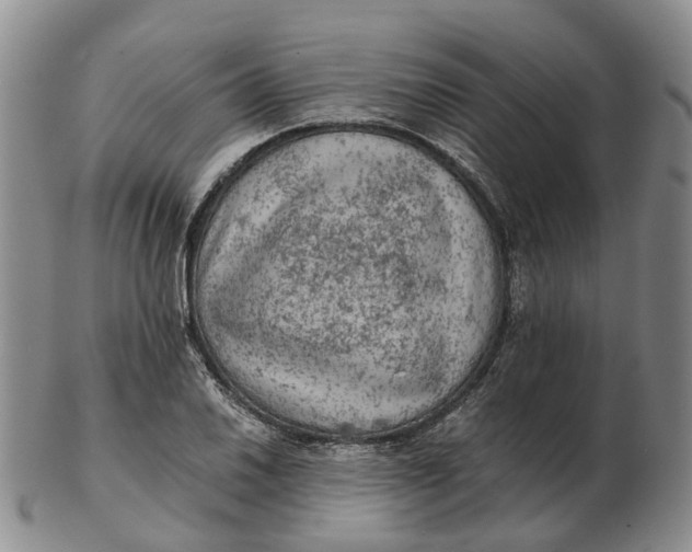 X0000103161030200809121833