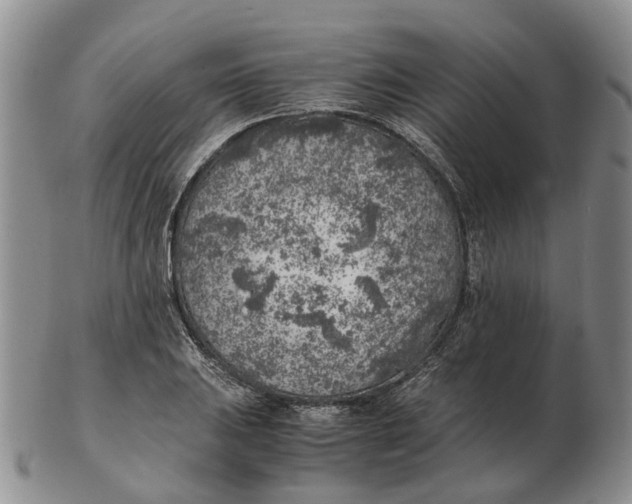 X0000103161031200809121833