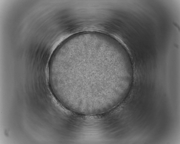 X0000103161032200809121833