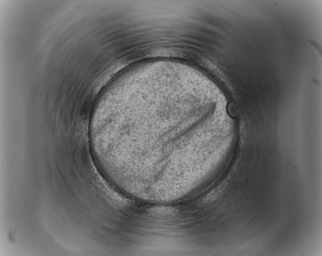 X0000103161033200809121833