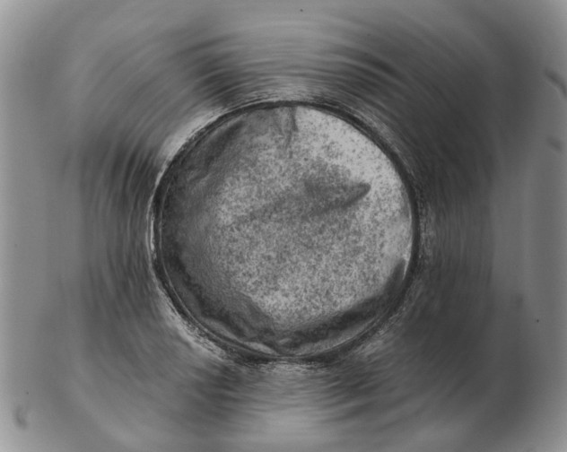 X0000103161034200809121834