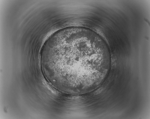 X0000103161035200809121834