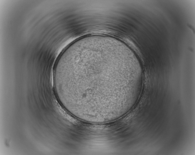 X0000103161036200809121834