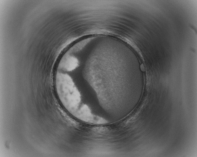 X0000103161037200809121834