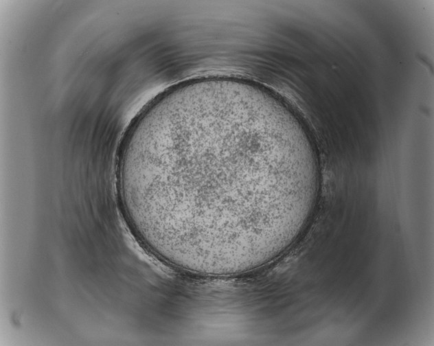 X0000103161038200809121834