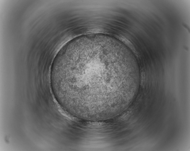 X0000103161039200809121834