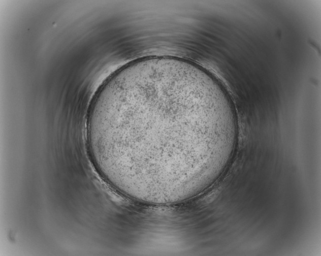 X0000103161040200809121834