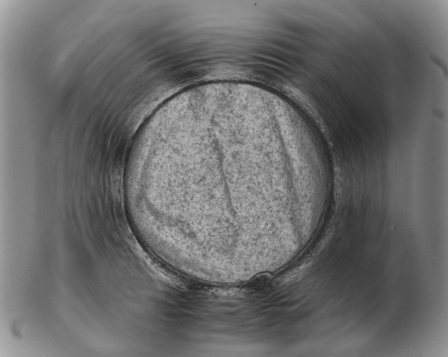 X0000103161041200809121834