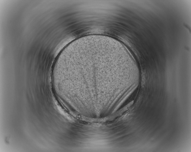 X0000103161042200809121834