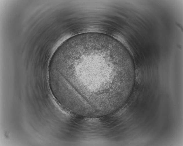 X0000103161043200809121834