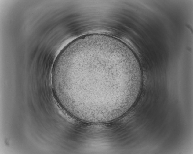 X0000103161044200809121834