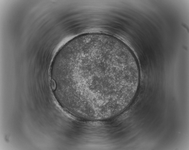 X0000103161045200809121834