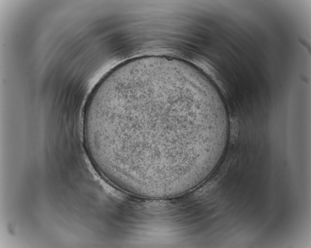 X0000103161046200809121834