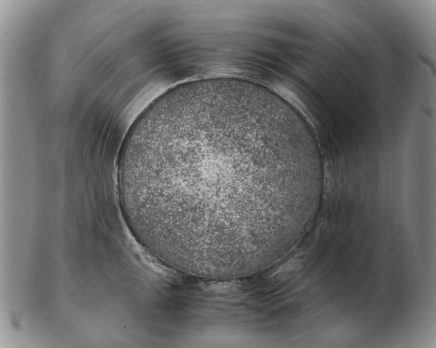 X0000103161047200809121834