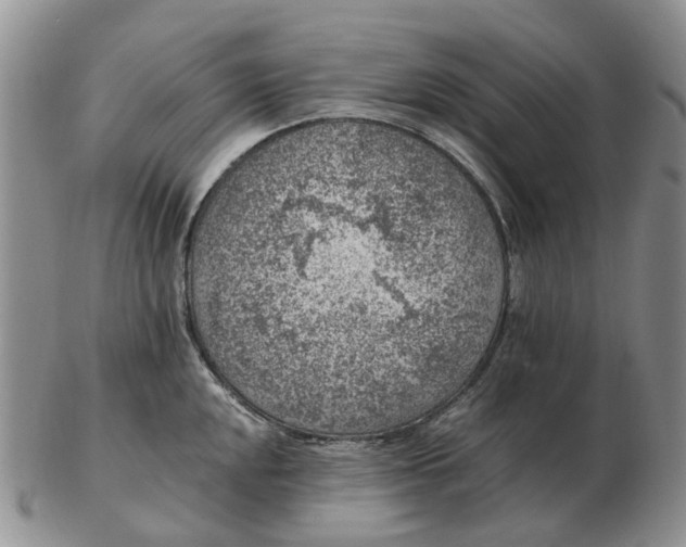 X0000103161048200809121834