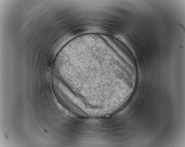 X0000103161049200809121834