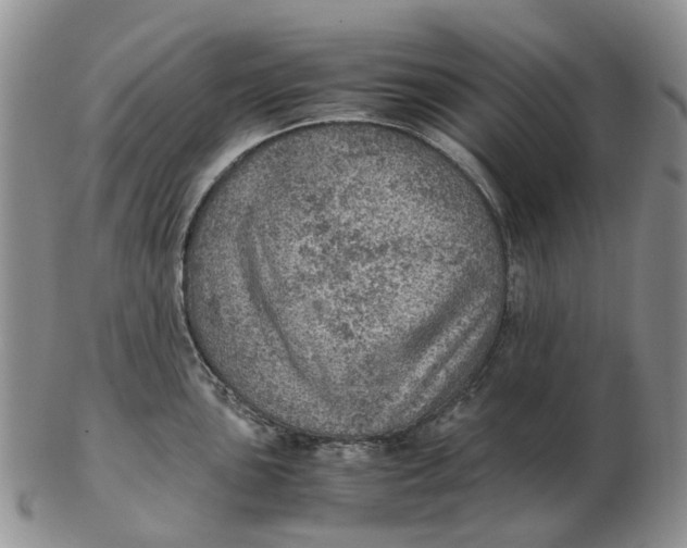 X0000103161051200809121834