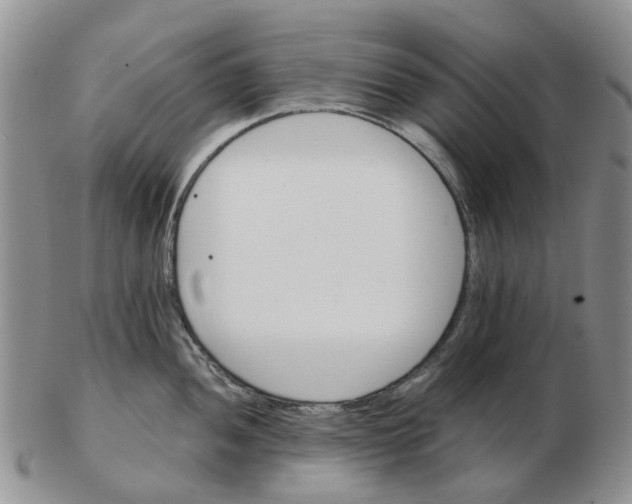 X0000103161052200809121834