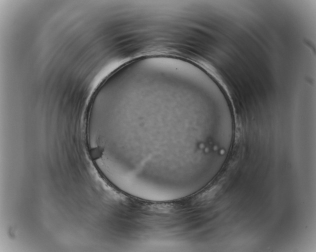 X0000103161053200809121834