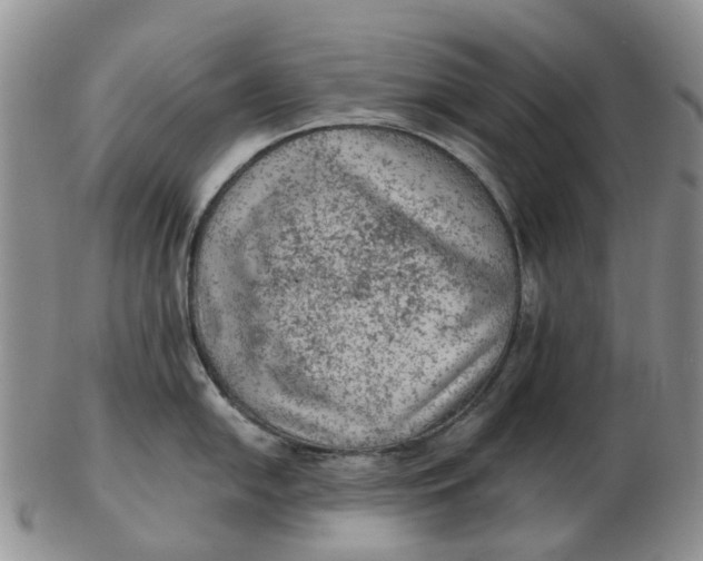 X0000103161054200809121834