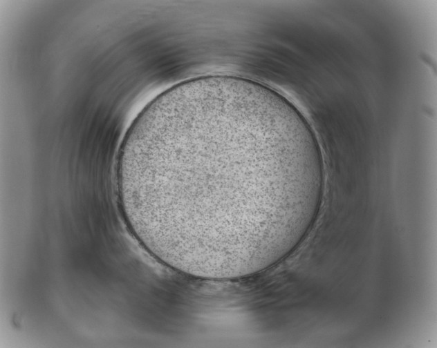 X0000103161056200809121834