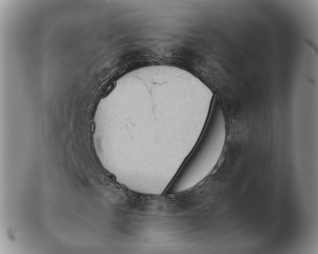 X0000103161057200809121833