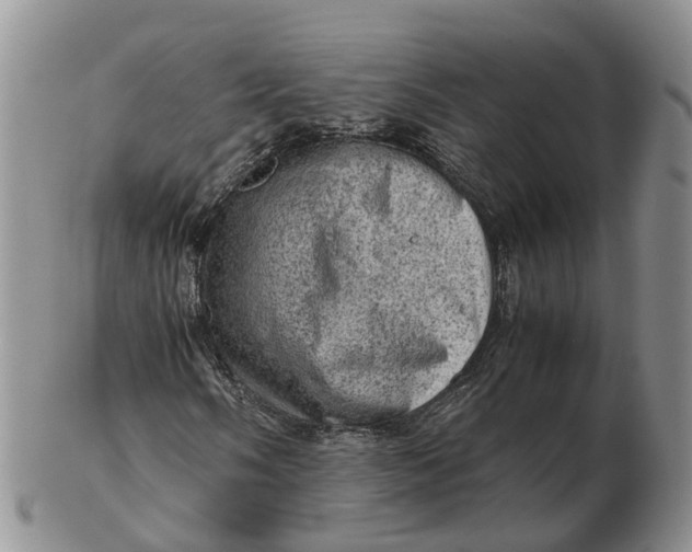 X0000103161058200809121833