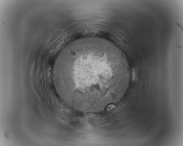 X0000103161059200809121833