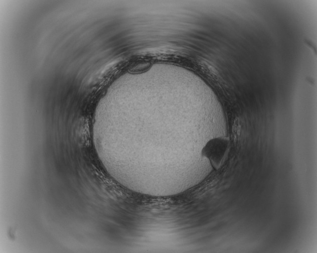 X0000103161062200809121833