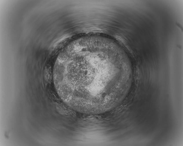 X0000103161063200809121833