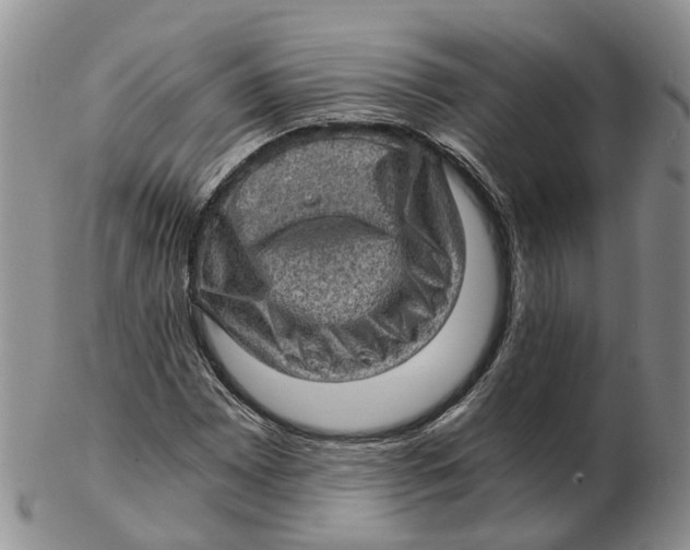 X0000103161065200809121833