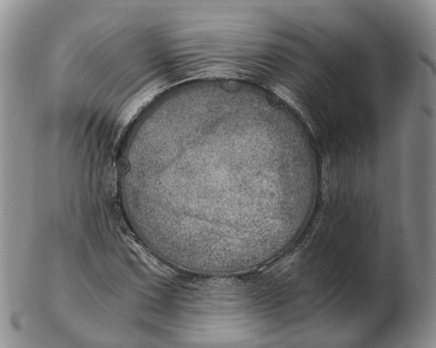 X0000103161067200809121833