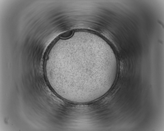 X0000103161068200809121833