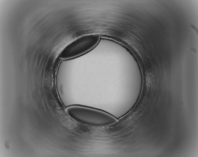 X0000103161069200809121833