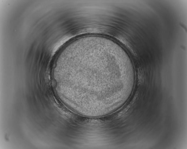 X0000103161070200809121833