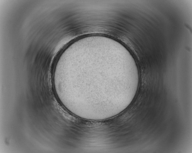 X0000103161072200809121833