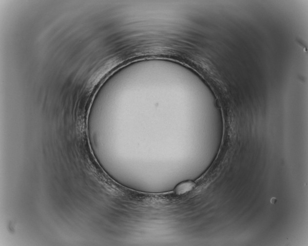 X0000103161073200809121833