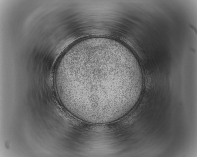 X0000103161074200809121833