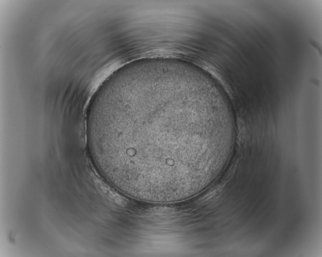 X0000103161075200809121833