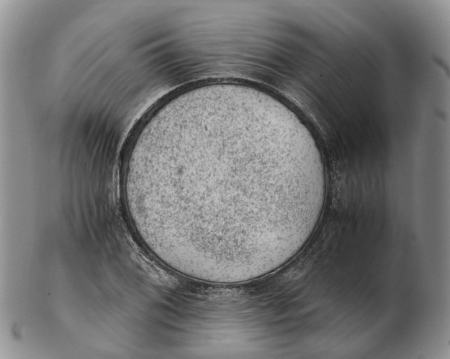 X0000103161076200809121833