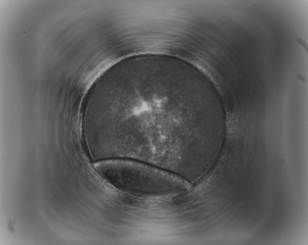 X0000103161077200809121833