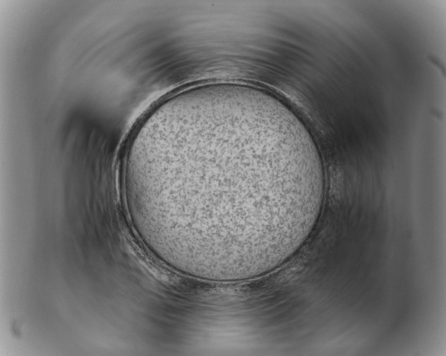 X0000103161078200809121833