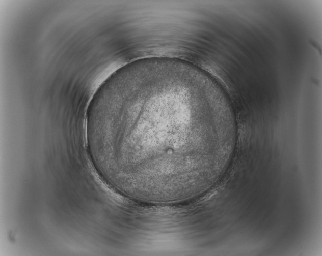 X0000103161079200809121833