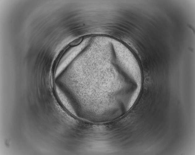 X0000103161080200809121833